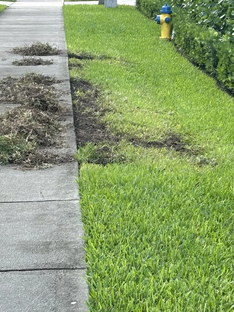 Reliable landscape installation experts serving Boca Raton, FL - Florida's Best Lawn and Pest