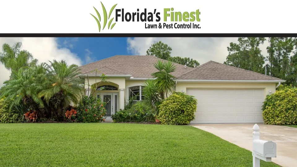 Affordable lawn mowing service in Ocoee, FL by Florida's Finest Lawn & Pest Control