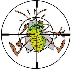 Reliable yard cleanup service for outdoor upgrades across Ocoee, FL - Florida's Finest Lawn & Pest Control