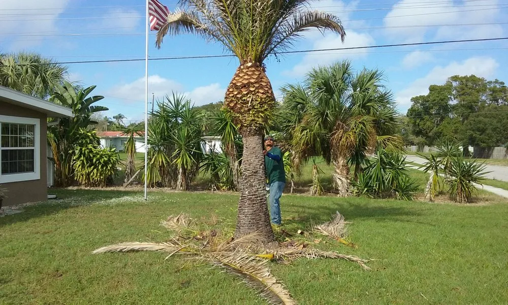 Top-rated residential landscaping with custom design across Bradenton, FL - Florida's Finest Tree And Lawn Service