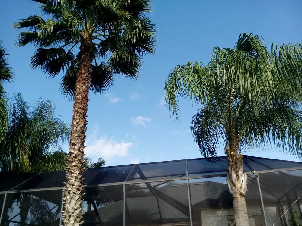 Reliable landscape design in Bradenton, FL - Florida's Finest Tree And Lawn Service