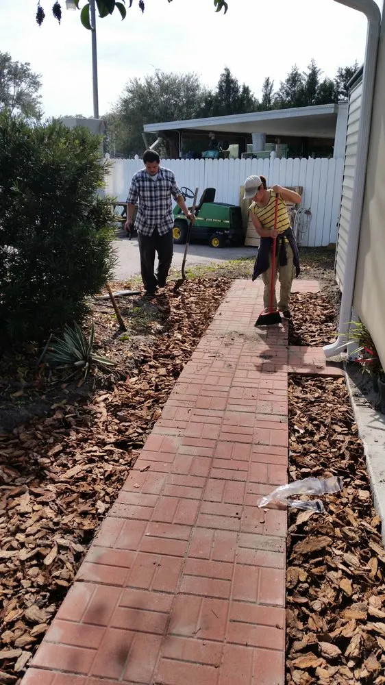 Local yard cleanup service experts serving Bradenton, FL - Florida's Finest Tree And Lawn Service