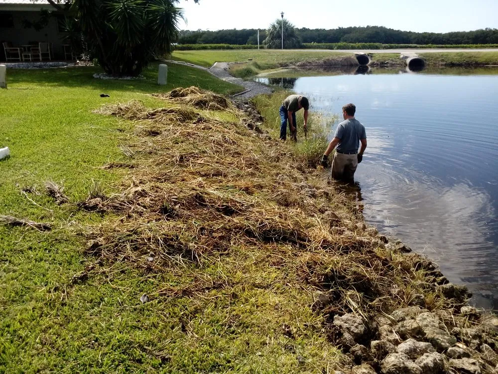 Expert outdoor landscaping for year-round maintenance across Bradenton, FL - Florida's Finest Tree And Lawn Service