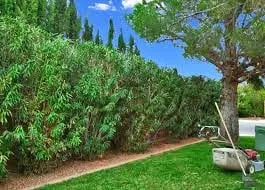 Professional residential landscaping in Land O' Lakes, FL - Florida's Green Thumb