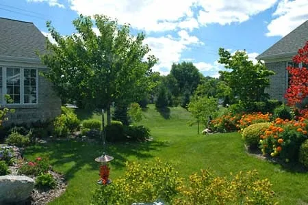 Trusted lawn care service near you across Land O' Lakes, FL - Florida's Green Thumb