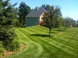 Custom lawn care service for beautiful yards in Land O' Lakes, FL by Florida's Green Thumb
