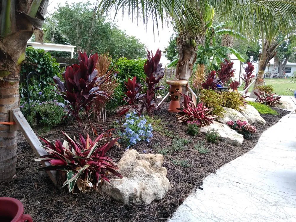 Expert yard maintenance experts serving Port Charlotte, FL - Florida's Landscape Specialist