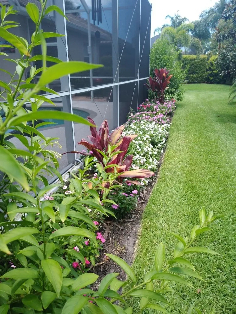 Affordable yard cleanup service for residential properties across Port Charlotte, FL - Florida's Landscape Specialist