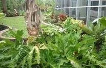 Reliable landscaping services for homes across Port Charlotte, FL - Florida's Landscape Specialist