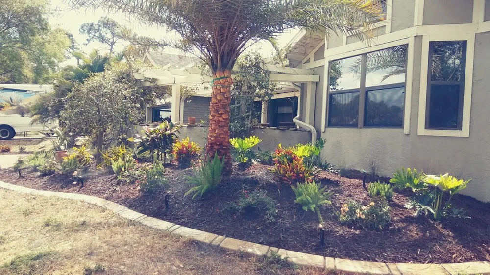 Reliable yard cleanup service in Port Charlotte, FL by Florida's Landscape Specialist