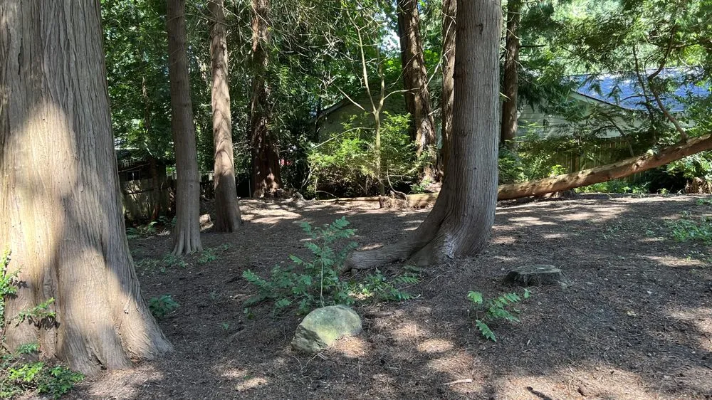 Custom residential landscaping in Poulsbo, WA by Floridas Lawn Service