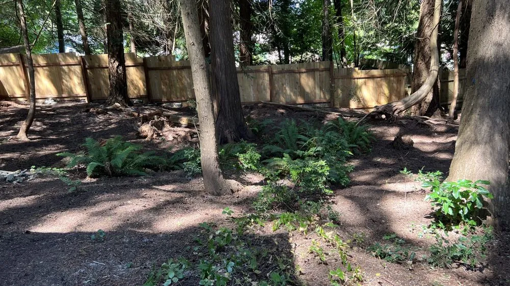 Local yard cleanup service in Poulsbo, WA - Floridas Lawn Service