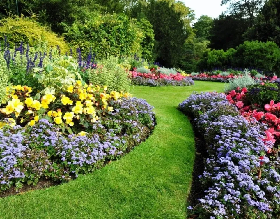 Trusted lawn mowing service for homes across St. Petersburg, FL - Florida's Nature Lawn & Tree Care