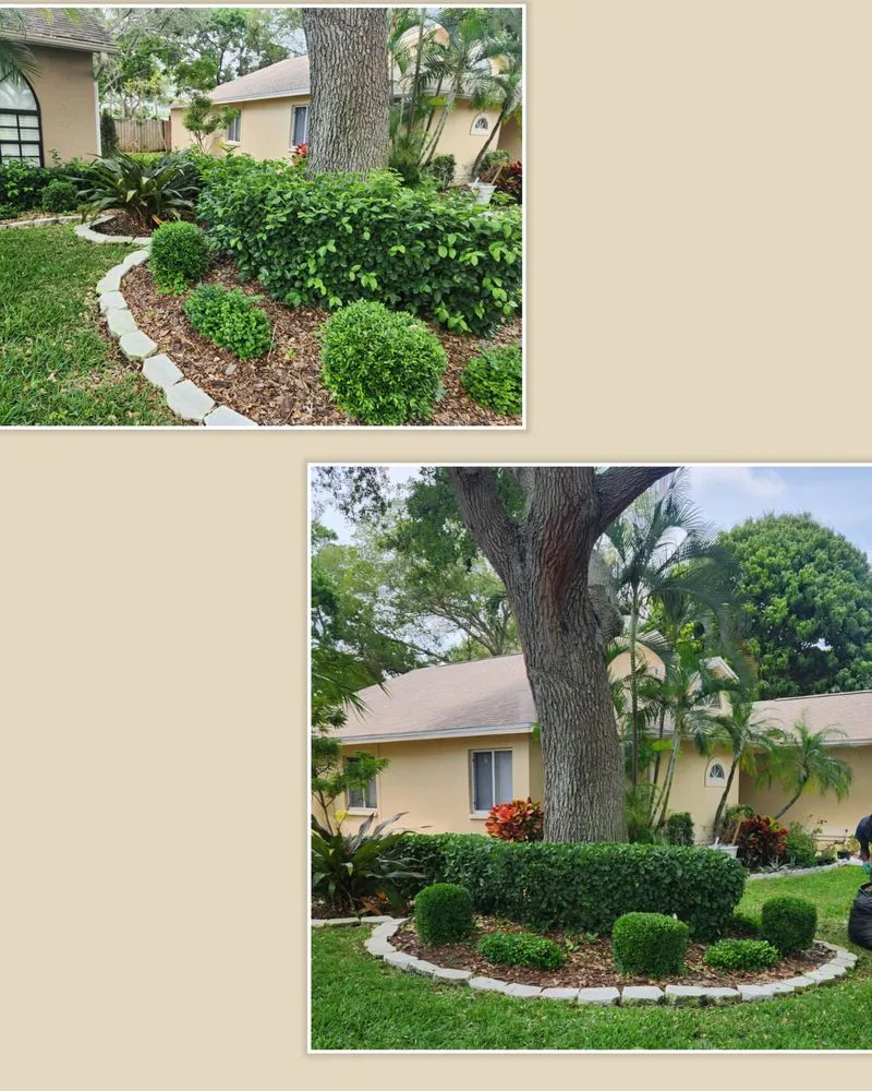 Top-rated landscape design experts serving St. Petersburg, FL - Florida's Nature Lawn & Tree Care