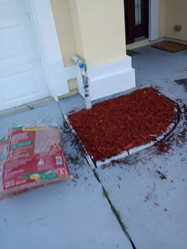 Local landscape design for outdoor upgrades across St. Augustine, FL - Floridaville yardMasters