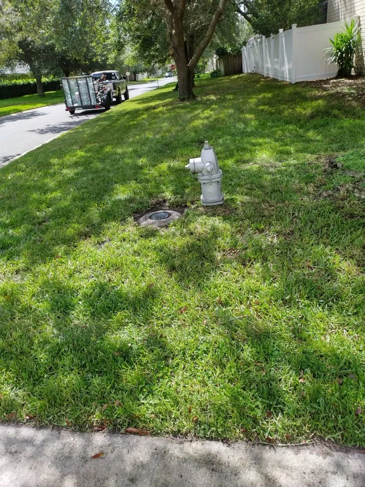 Expert landscape installation experts serving St. Augustine, FL - Floridaville yardMasters