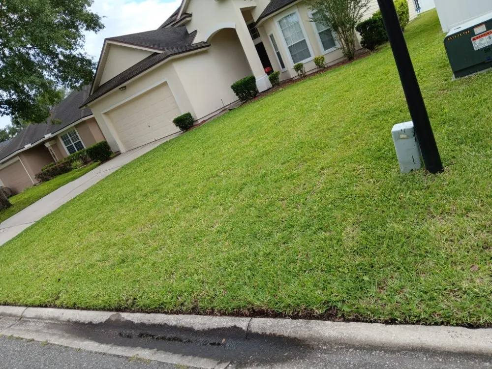 Expert yard cleanup service in St. Augustine, FL by Floridaville yardMasters