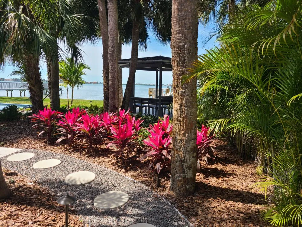 Top-rated residential landscaping in St. Petersburg, FL by Floridigenous Landscape, Inc.