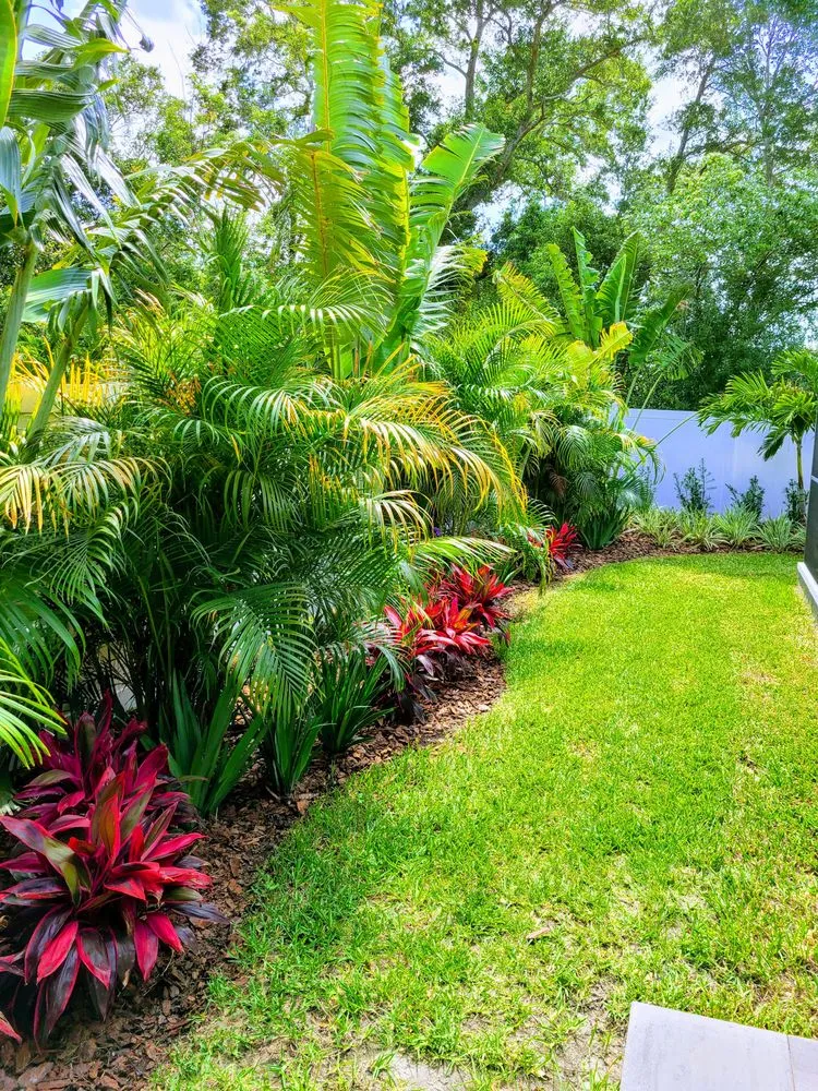 Affordable landscape design for outdoor upgrades across St. Petersburg, FL - Floridigenous Landscape, Inc.