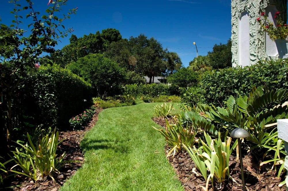 Affordable lawn mowing service for year-round maintenance in St. Petersburg, FL by Floridigenous Landscape, Inc.