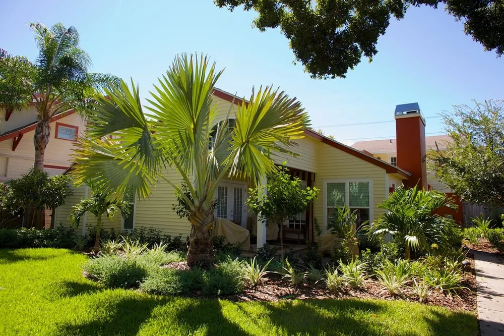 Trusted residential landscaping in St. Petersburg, FL - Floridigenous Landscape, Inc.