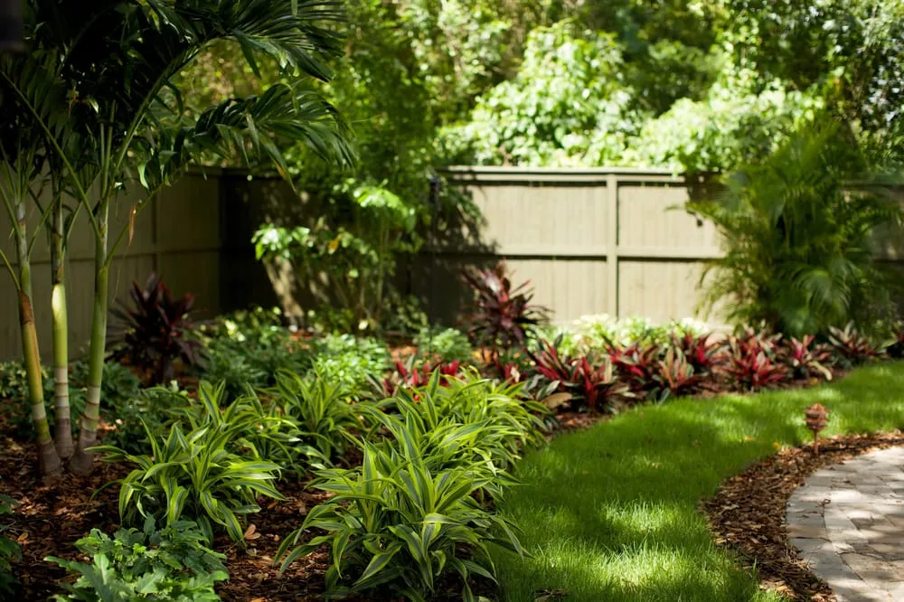 Custom yard maintenance for year-round maintenance across St. Petersburg, FL - Floridigenous Landscape, Inc.