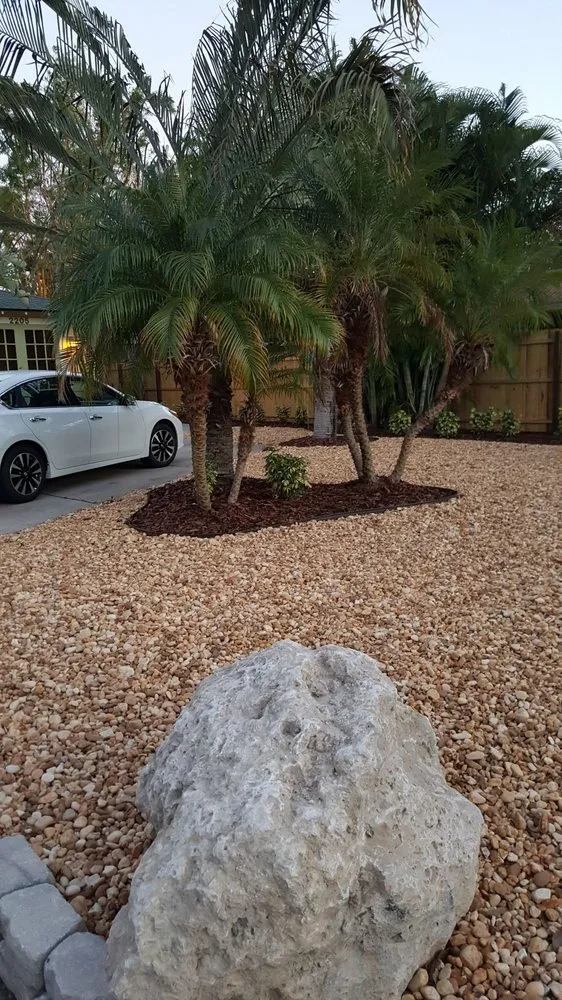Custom residential landscaping for homes across St. Petersburg, FL - Floridigenous Landscape, Inc.