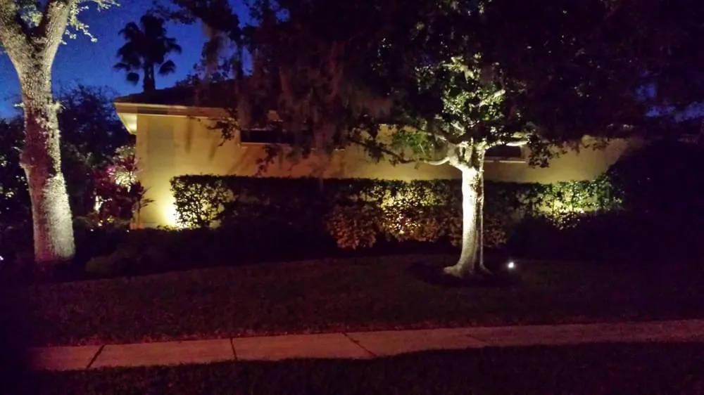 Affordable lawn care service in St. Petersburg, FL by Floridigenous Landscape, Inc.