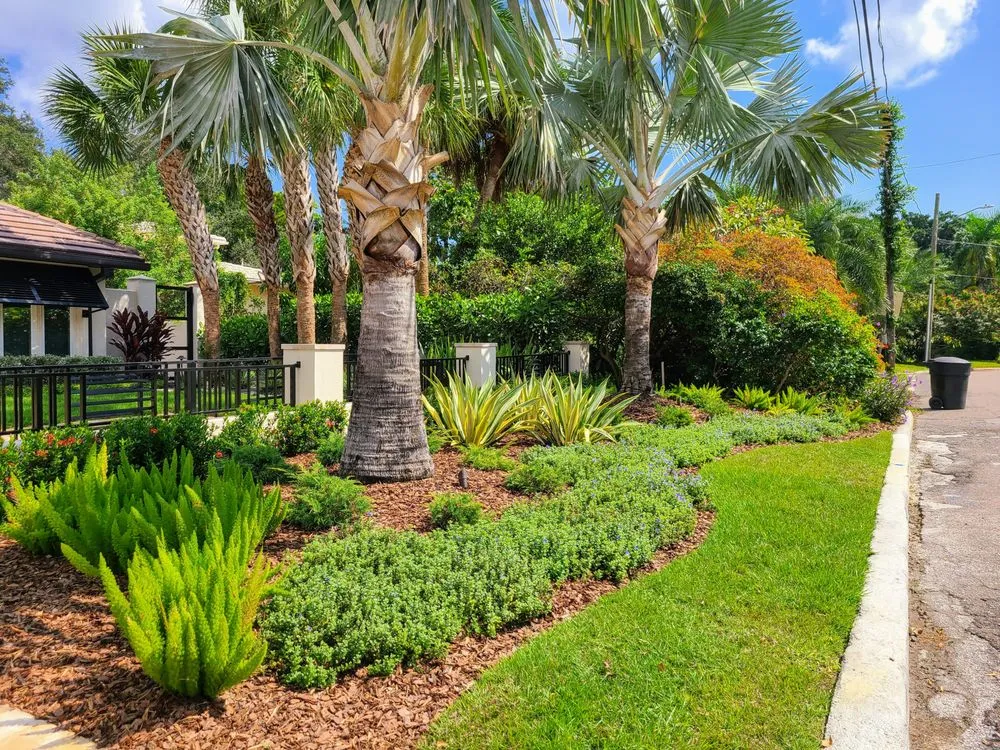 Expert landscaping services for beautiful yards across St. Petersburg, FL - Floridigenous Landscape, Inc.