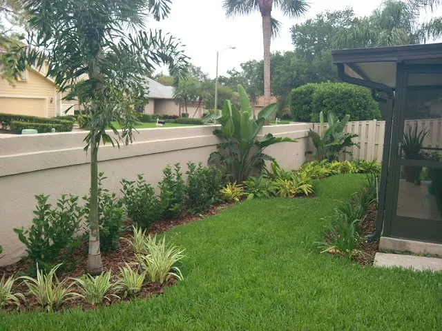 Affordable landscape design in St. Petersburg, FL by Floridigenous Landscape, Inc.