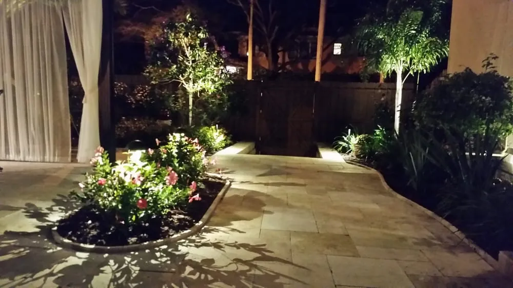 Expert yard cleanup service for beautiful yards in St. Petersburg, FL by Floridigenous Landscape, Inc.