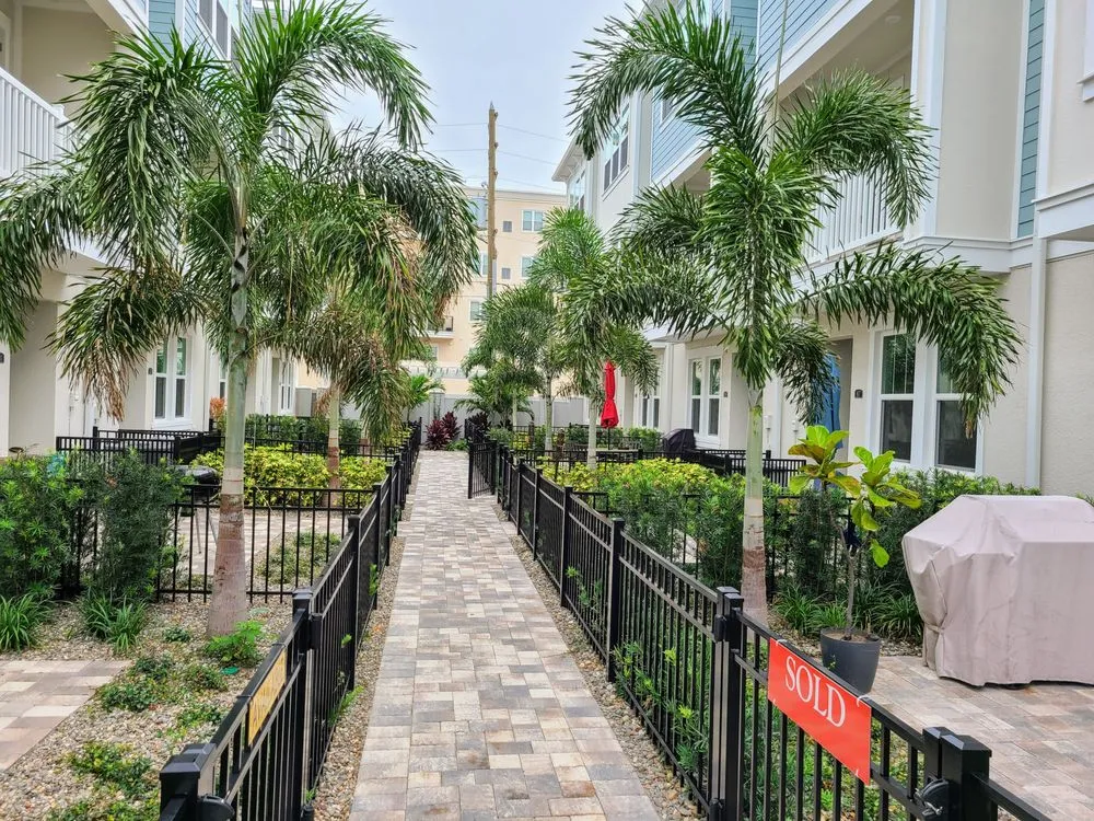 Reliable landscaping services experts serving St. Petersburg, FL - Floridigenous Landscape, Inc.