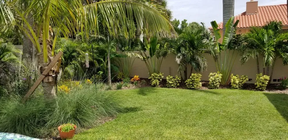 Top-rated landscape design for beautiful yards in St. Petersburg, FL by Floridigenous Landscape, Inc.