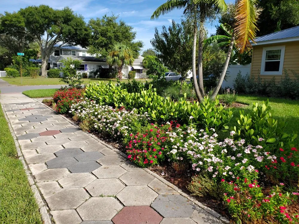 Top-rated residential landscaping experts serving St. Petersburg, FL - Floridigenous Landscape, Inc.