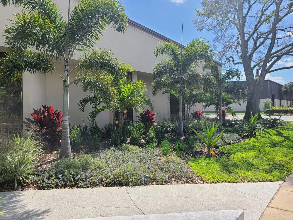 Reliable outdoor landscaping in St. Petersburg, FL by Floridigenous Landscape, Inc.