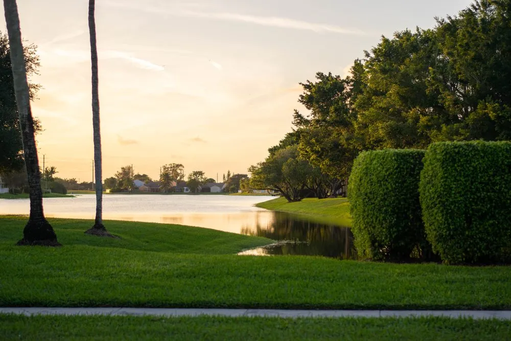 Trusted landscaping services for year-round maintenance in Greenacres, FL by Floridist Sod Installation & Removal
