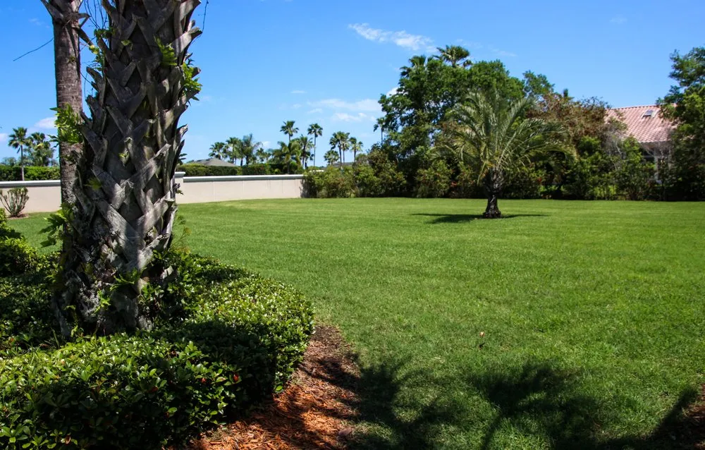 Trusted landscape design in Greenacres, FL by Floridist Sod Installation & Removal