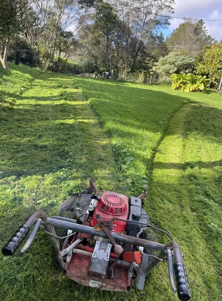 Custom landscape design in Sacramento, CA by Florin Lawn Care