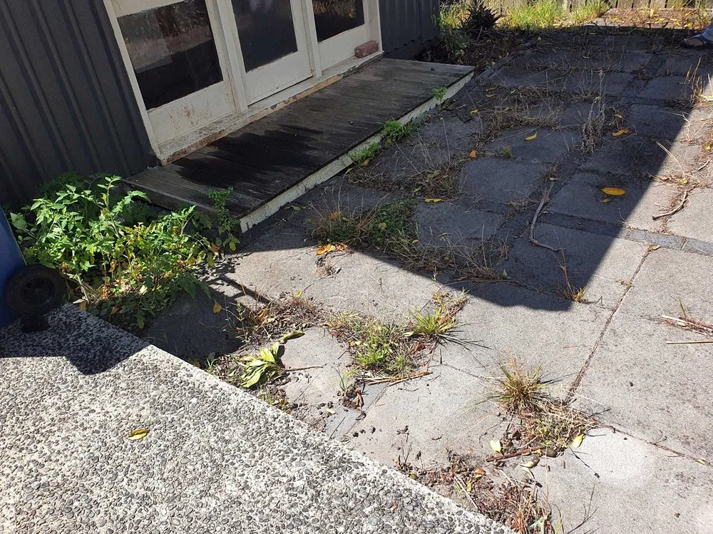 Reliable yard maintenance in Sacramento, CA - Florin Lawn Care