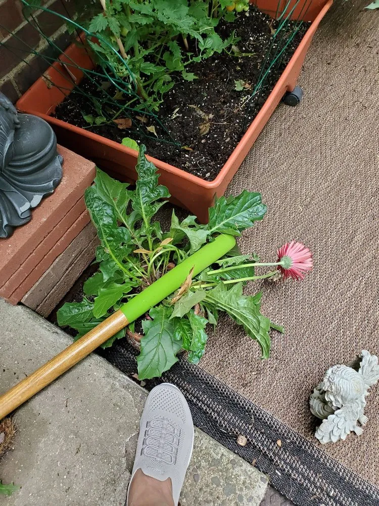 Professional yard maintenance in New Milford, NJ - Florio Landscape Contractors