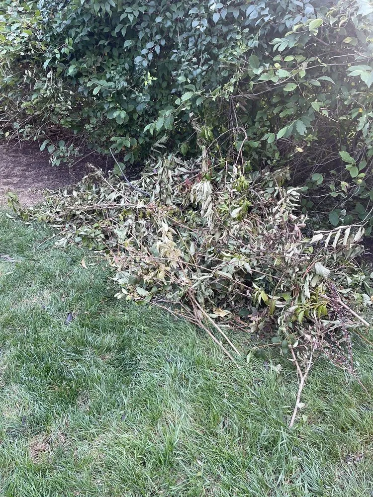 Expert yard cleanup service in New Milford, NJ - Florio Landscape Contractors