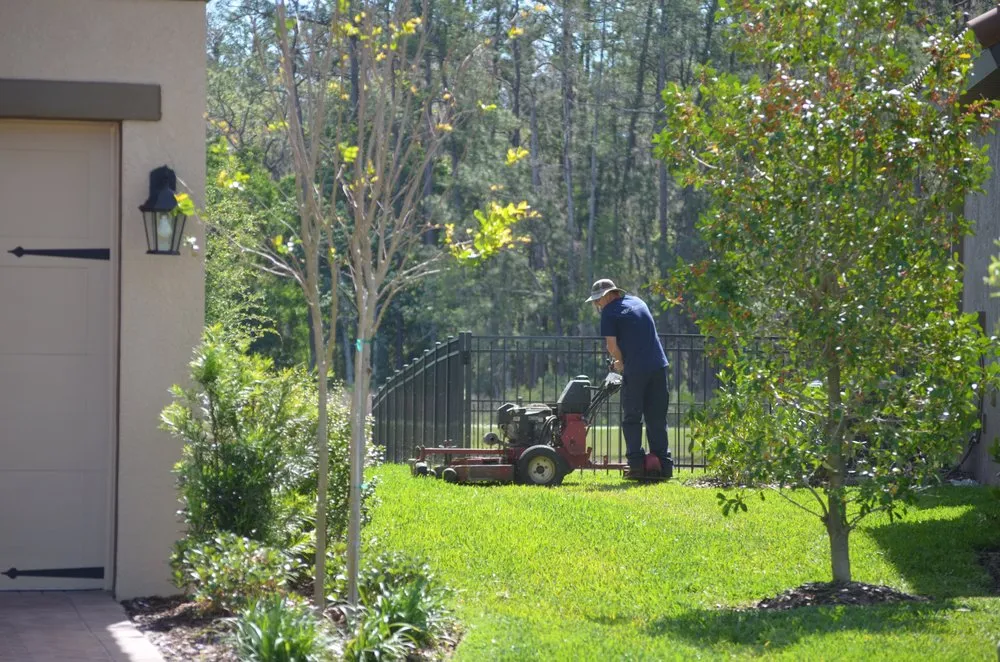 Professional yard cleanup service near you in Trinity, FL by Floriscape