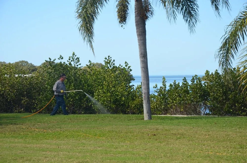 Reliable yard cleanup service experts serving Trinity, FL - Floriscape