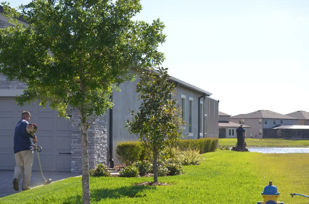 Custom landscape design in Trinity, FL - Floriscape