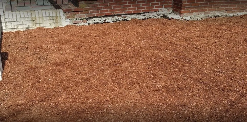 Professional residential landscaping near you in Everett, MA by Florus Services