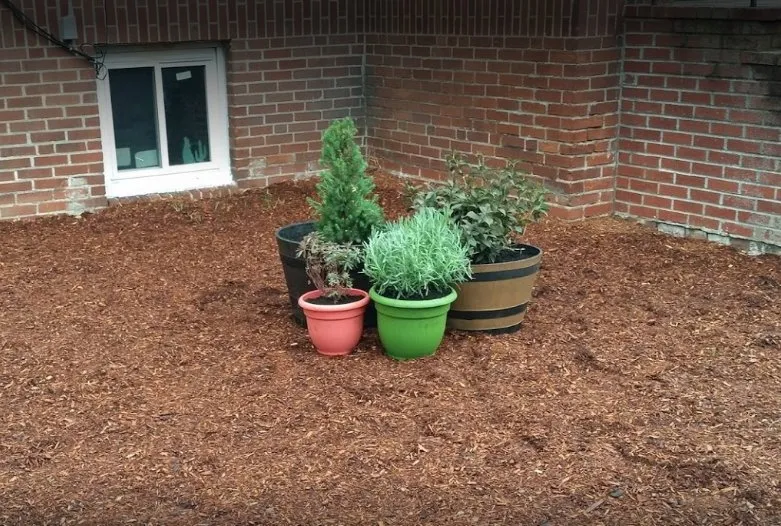 Affordable lawn mowing service for year-round maintenance in Everett, MA by Florus Services