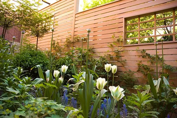 Affordable yard cleanup service for outdoor upgrades in Brooklyn, NY by Flo's Gardens