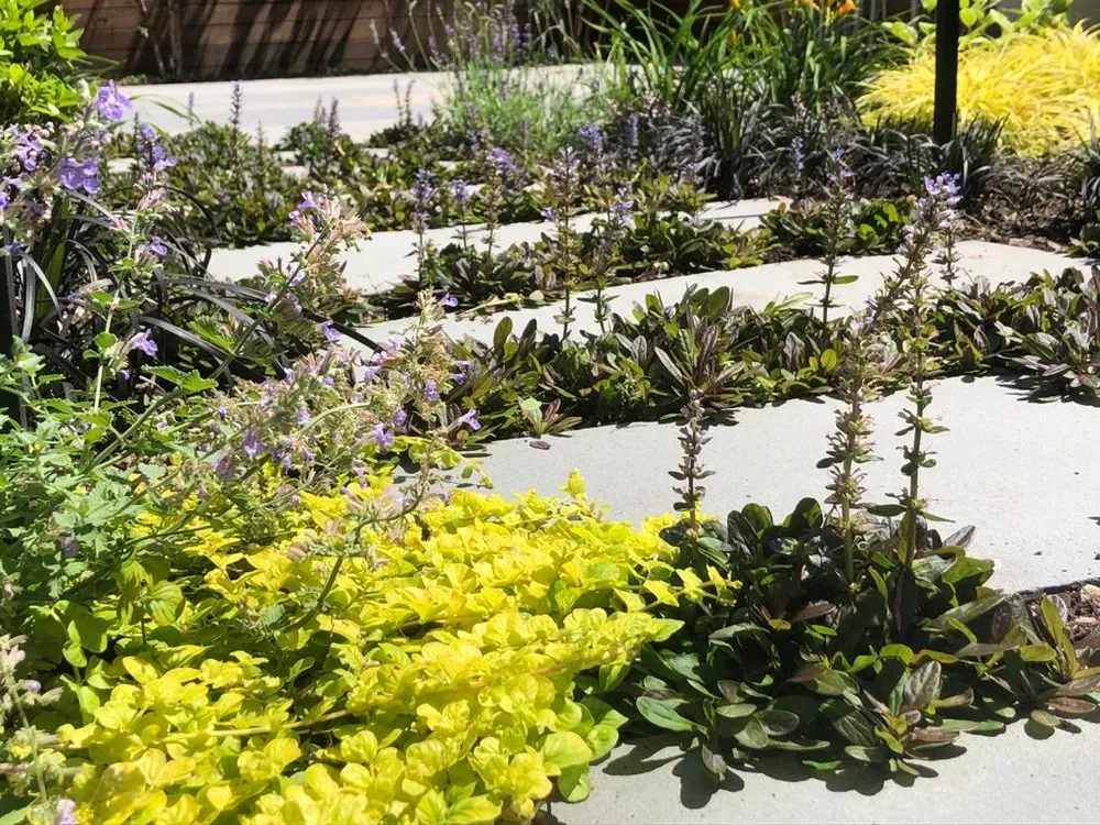 Trusted yard maintenance experts serving Brooklyn, NY - Flo's Gardens