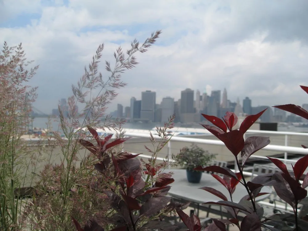 Reliable residential landscaping near you across Brooklyn, NY - Flo's Gardens