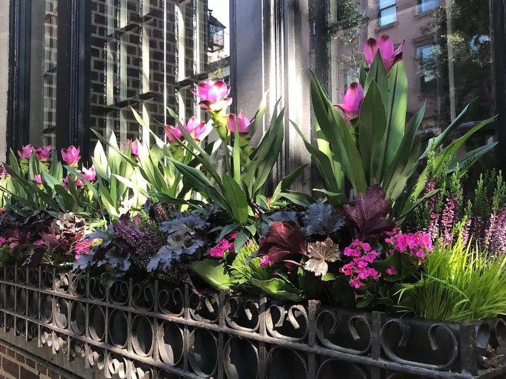 Affordable yard cleanup service in Brooklyn, NY - Flo's Gardens